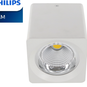 Đèn 12W gắn nổi Philips Oem