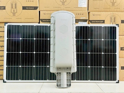 Đèn Đường Năng Lượng mặt trời 120W OLV-OLK 3.0B - Ảnh 2